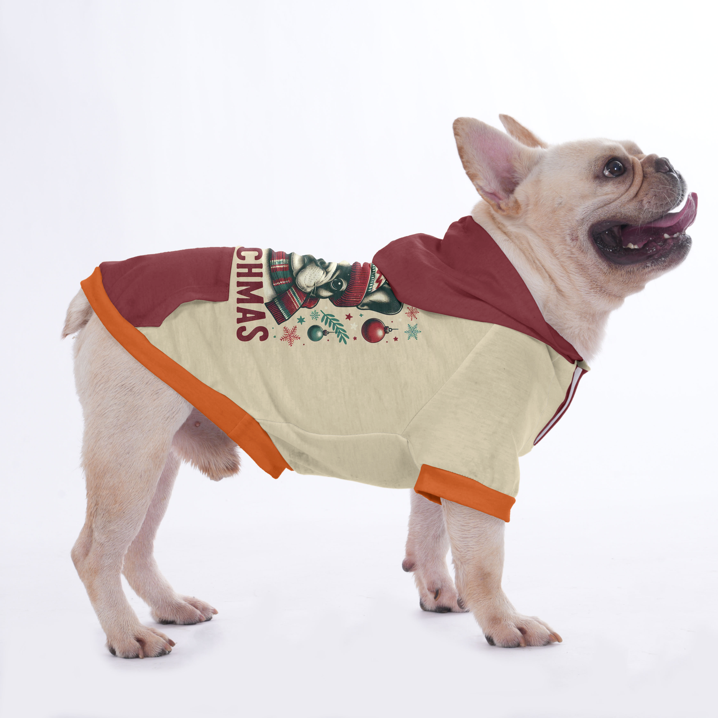 Frankie - Hoodies for French Bulldog  | Frenchie Shop Original