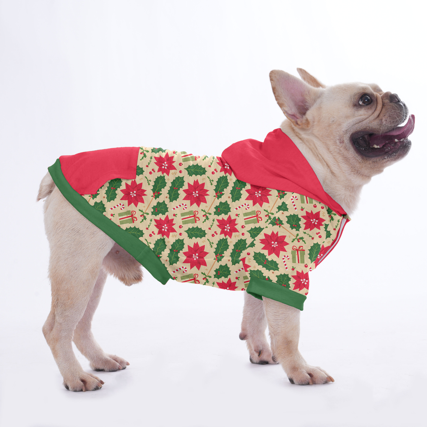 Suzzie - Hoodies for French Bulldog  | Frenchie Shop Original