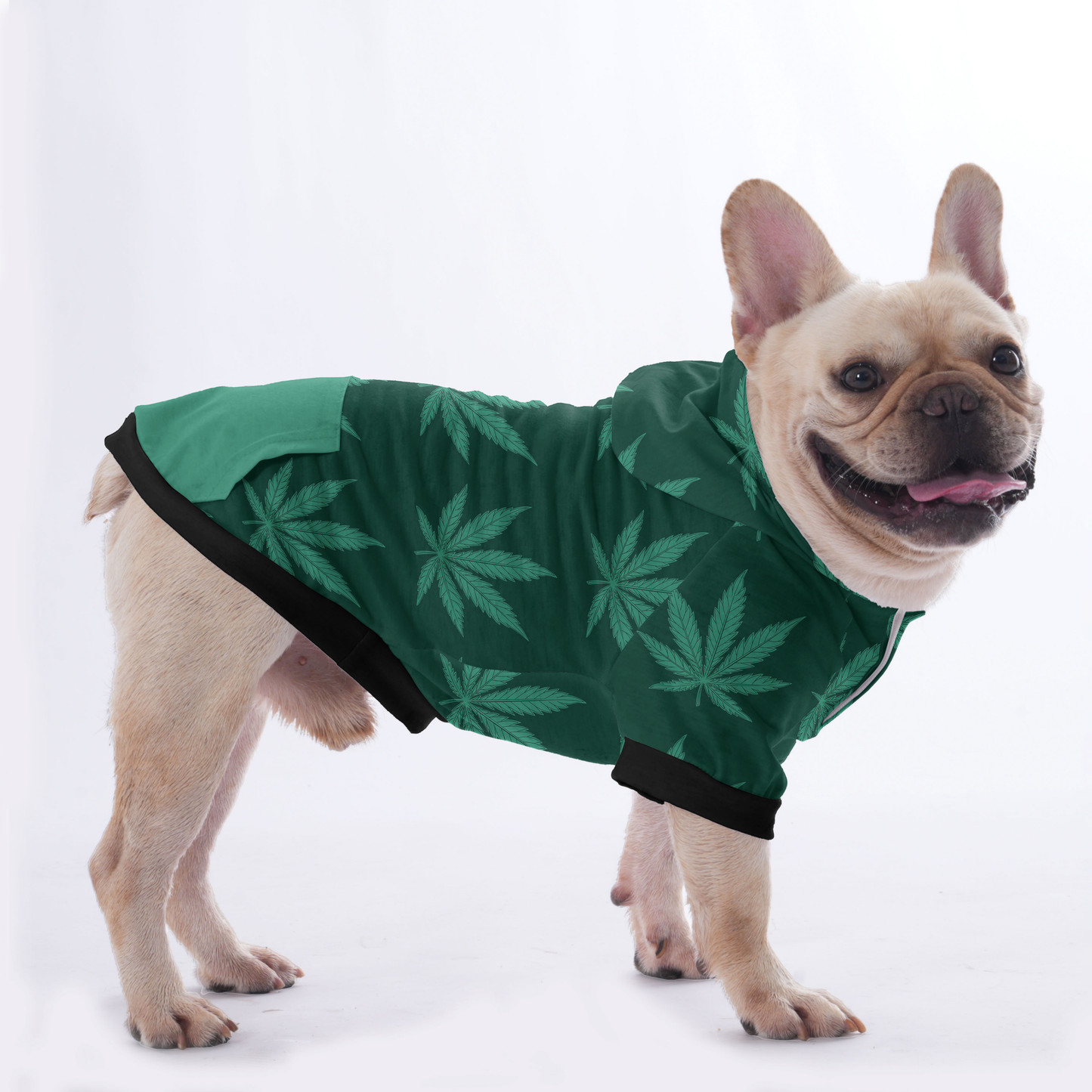 Toby - Hoodies for French Bulldog  | Frenchie Shop Original