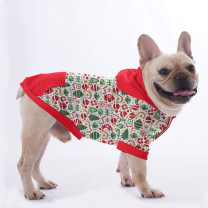 Betty - Hoodies for French Bulldog  | Frenchie Shop Original