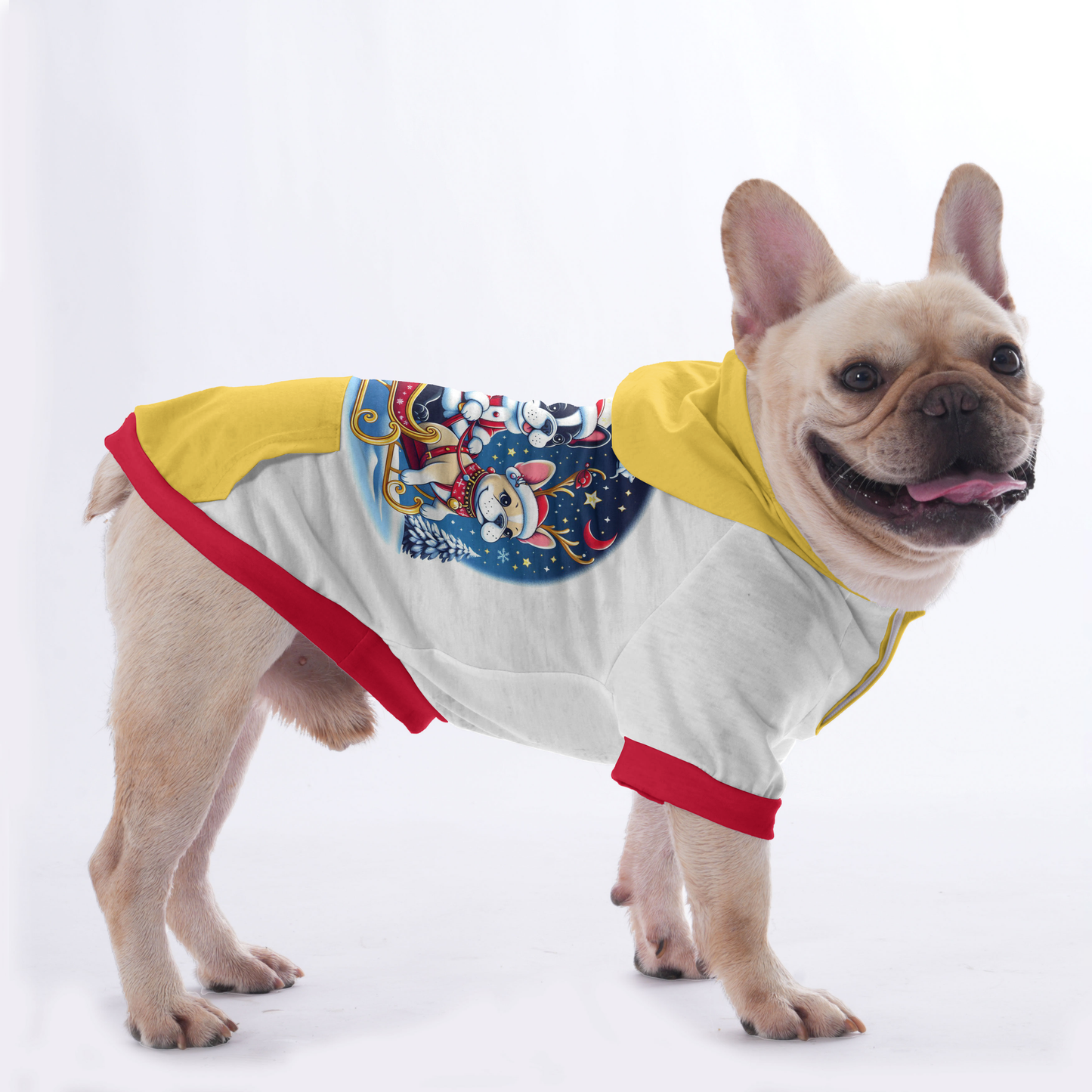 Penny - Hoodies for French Bulldog  | Frenchie Shop Original