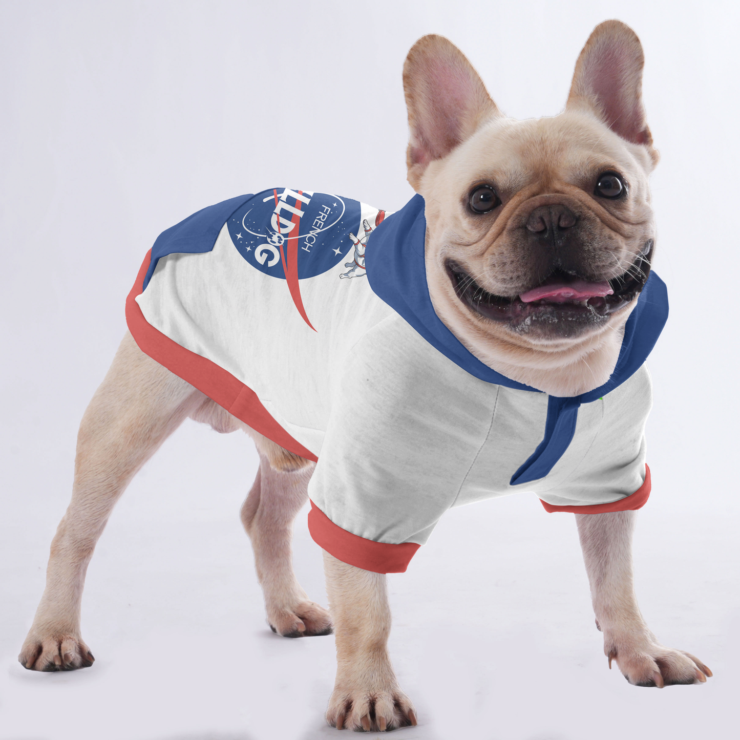 Petey - Hoodies for French Bulldog  | Frenchie Shop Original