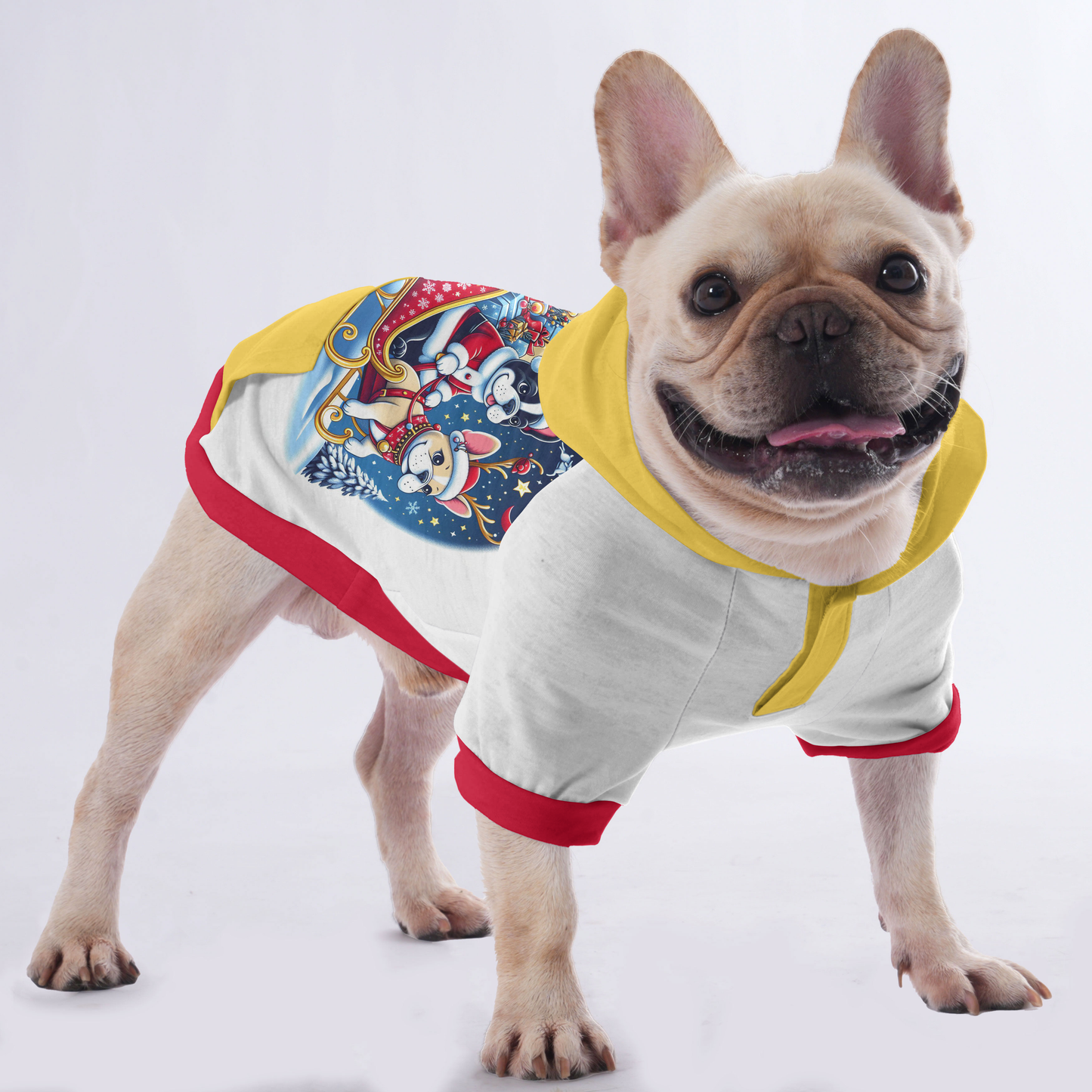 Penny - Hoodies for French Bulldog  | Frenchie Shop Original