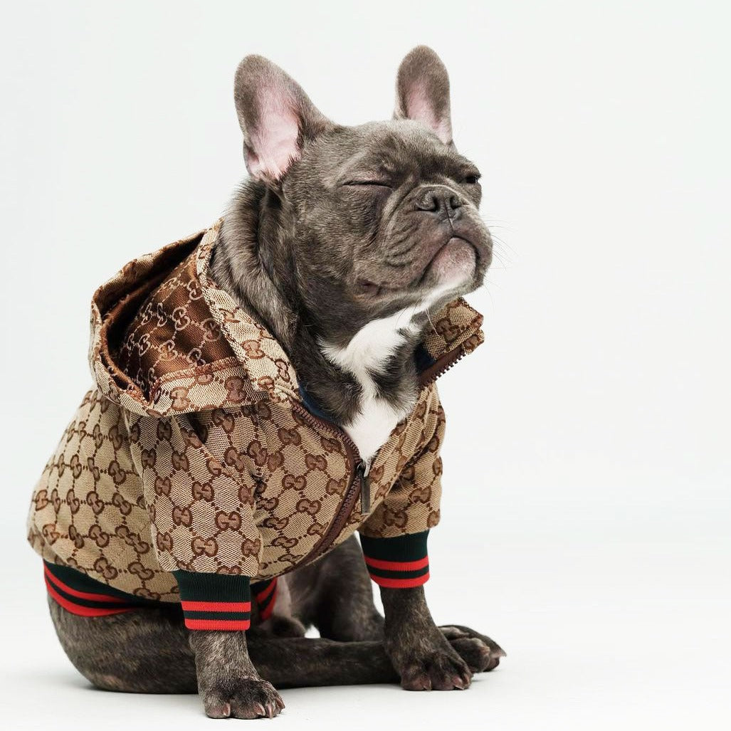 Gucci New Pet Collection Features Luxurious Pet Beds