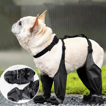 PawGuard French Bulldog Footwear Soft and Stylish Paws Protector