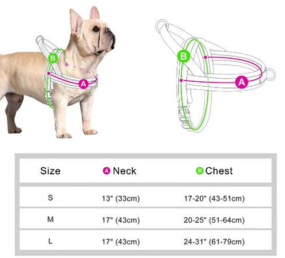 PrintPup No Pull Frenchie Harness with Unique Print Patterns