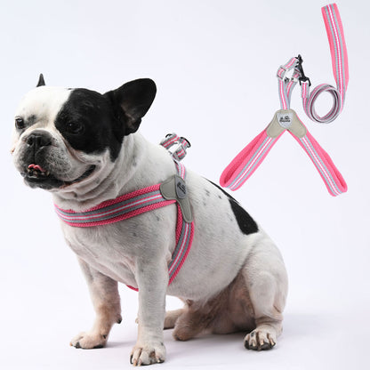 LeashLock No-Pull Frenchie Harness with Leash