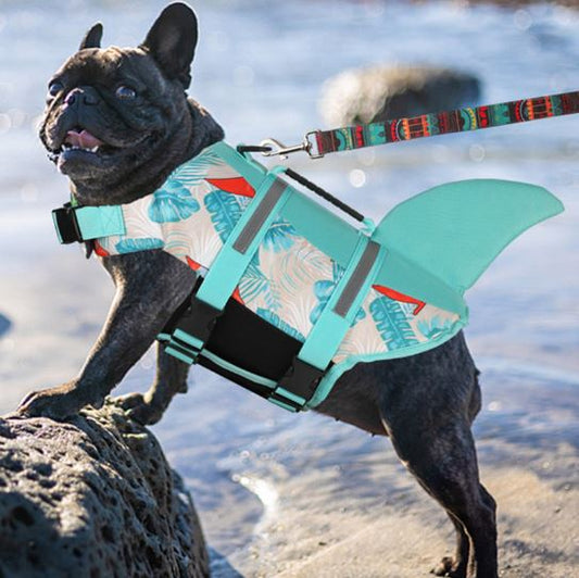 Frenchie-Shark-Vest-Sail-Boat-Print-Perfect-Summer-Dog-Outfit-www.frenchie.shop