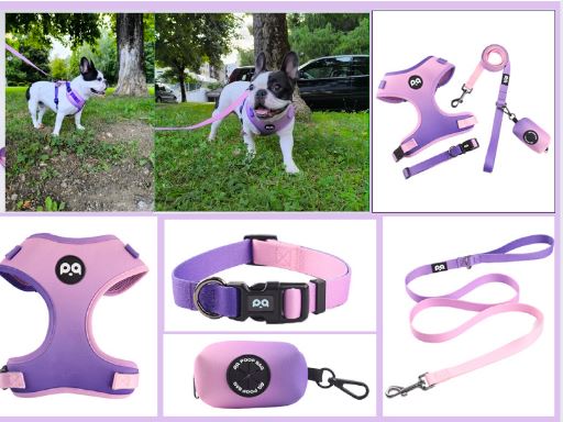 LeashLab Adjustable Frenchie Harness and Leash Set