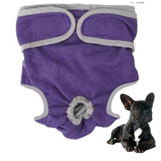 www.frenchie.shop-Adjustable-French-Bulldog-Shorts-Diaper