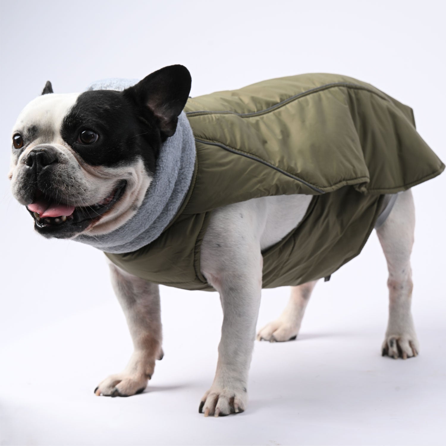 www.frenchie.shop-ChillElite-Frenchie-Luxury-Winter-Jacket