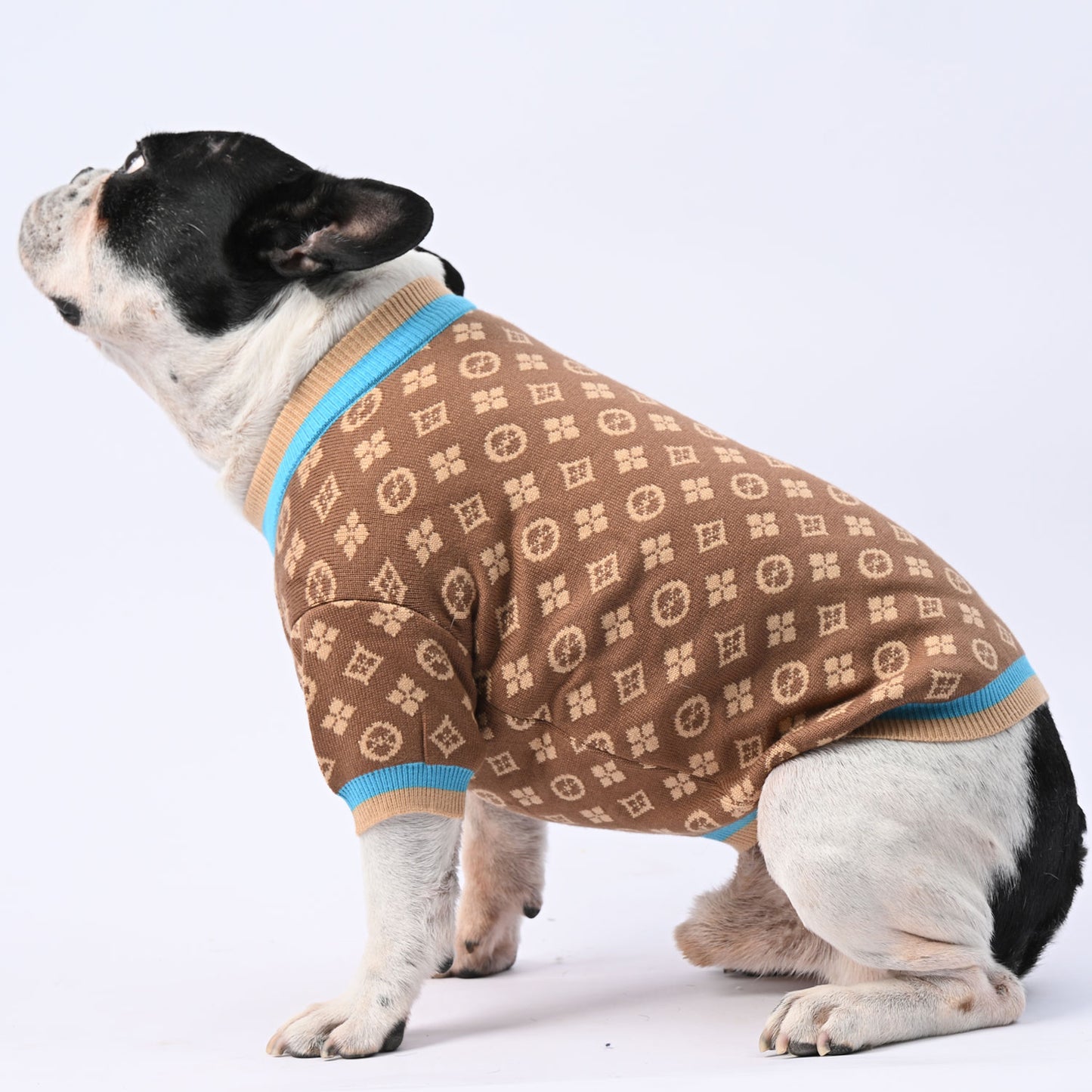 www.frenchie.shop-ChillGuard-Frenchie-Winter-Sweater-with-Cute-Design