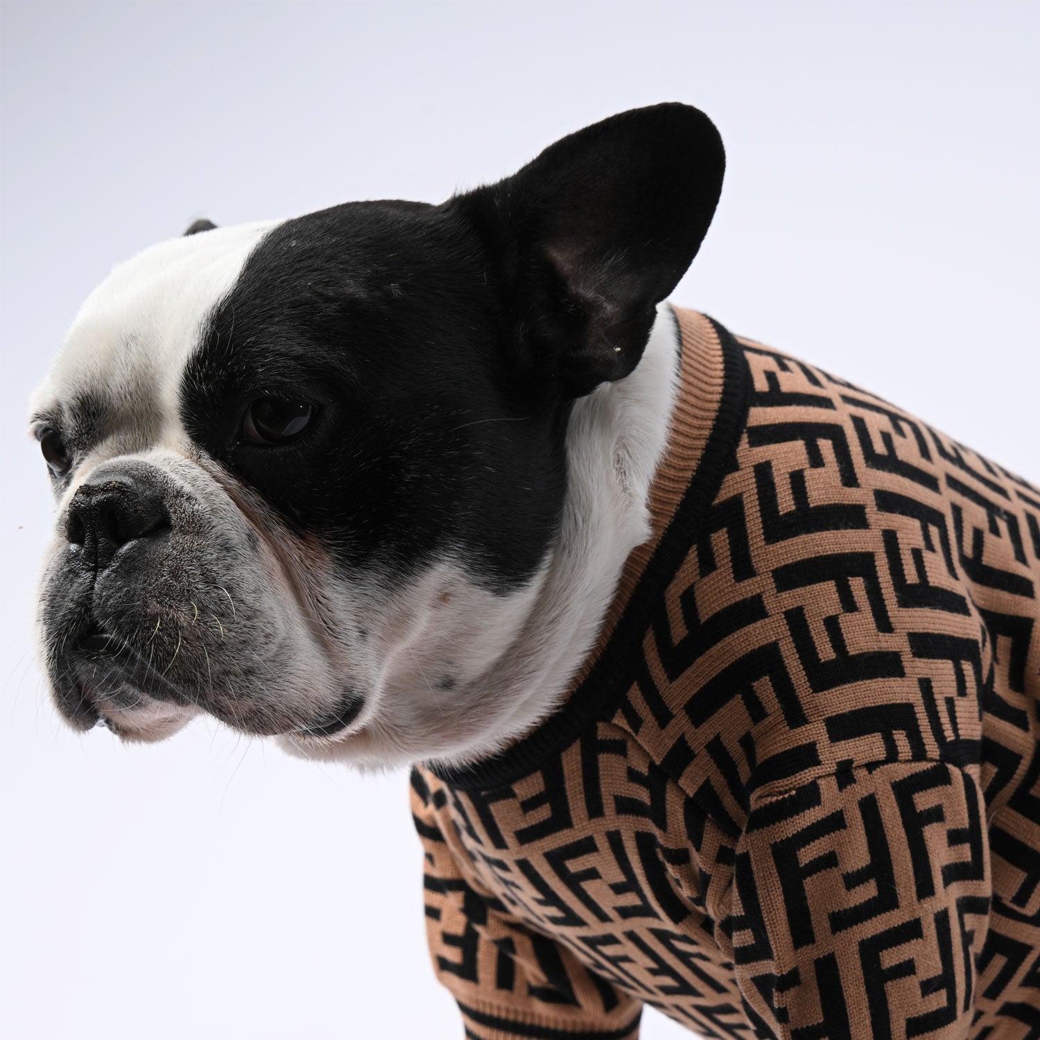 www.frenchie.shop-Cozy-French-Bulldog-Sweater–Premium-Stretchy-Winter-Pet-Wear