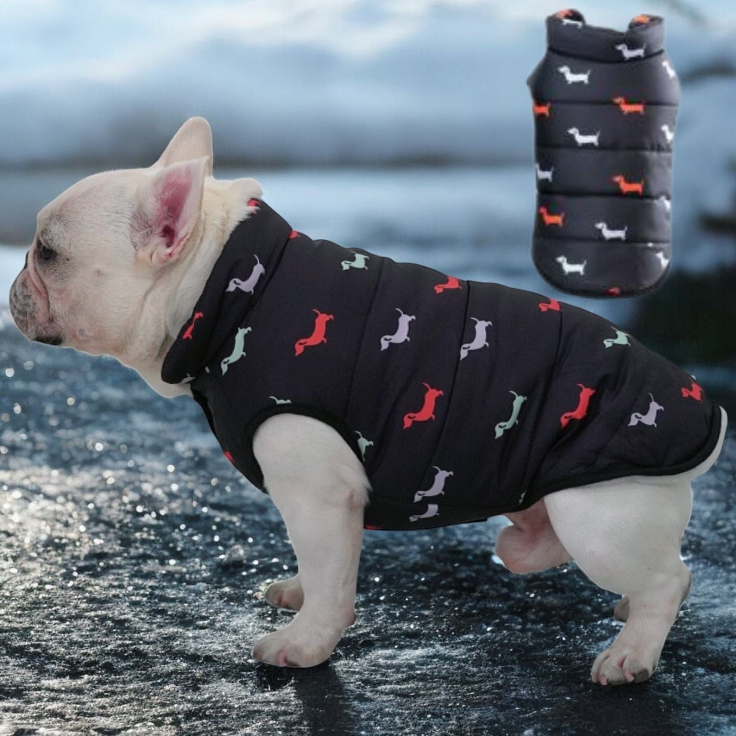 www.frenchie.shop-EverPeak-Ultimate-Warmth-Puffer-Jacket-for-French-Bulldogs-black