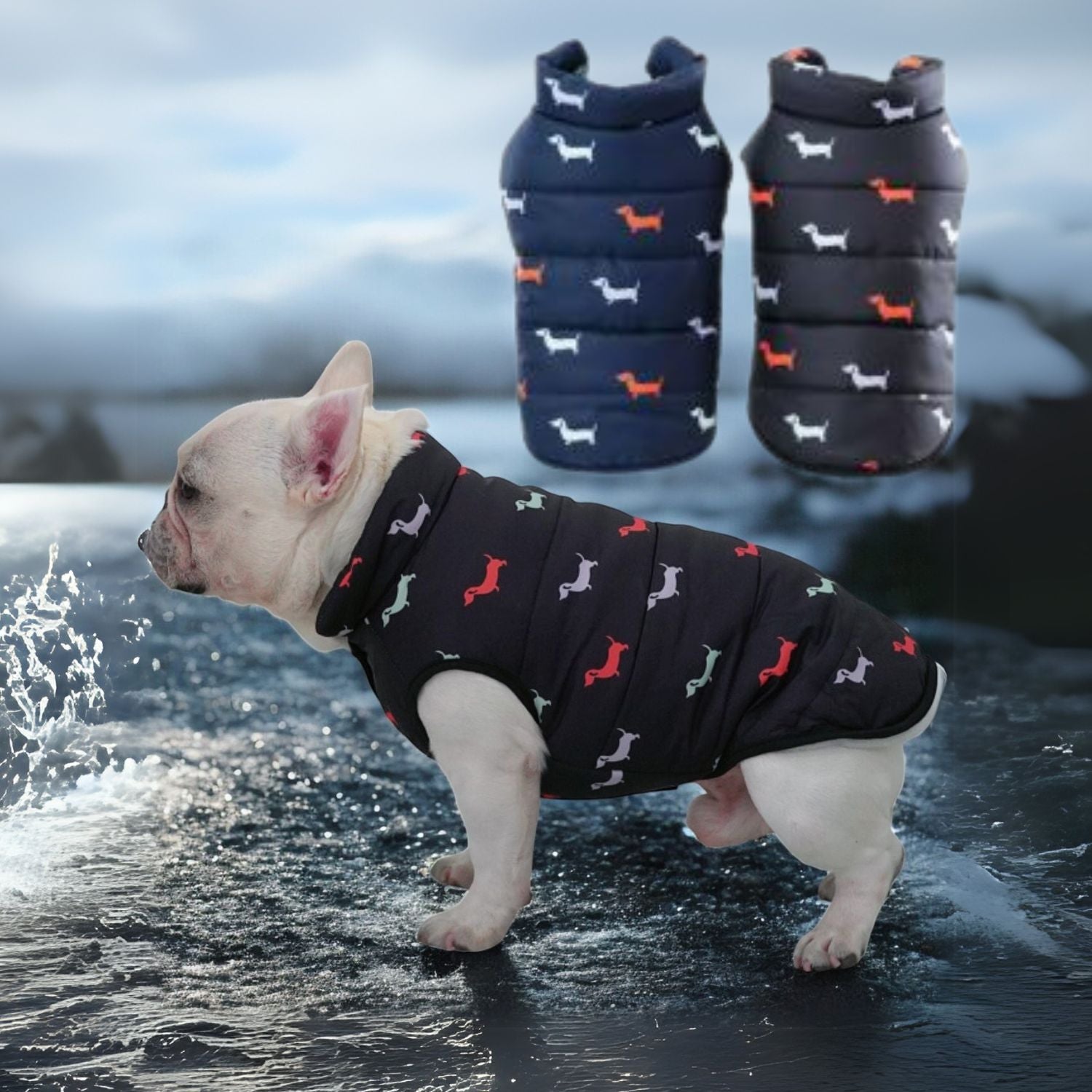 www.frenchie.shop-EverPeak-Ultimate-Warmth-Puffer-Jacket-for-French-Bulldogs