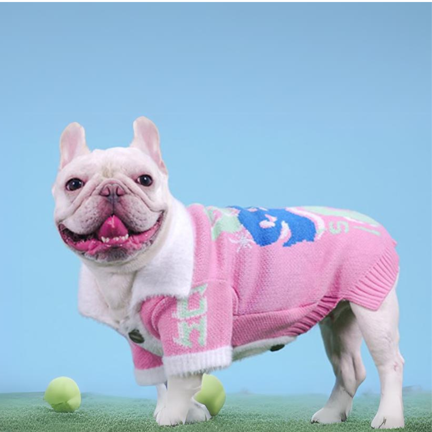 www.frenchie.shop-French-Bulldog-Sporty-Winter-Sweater