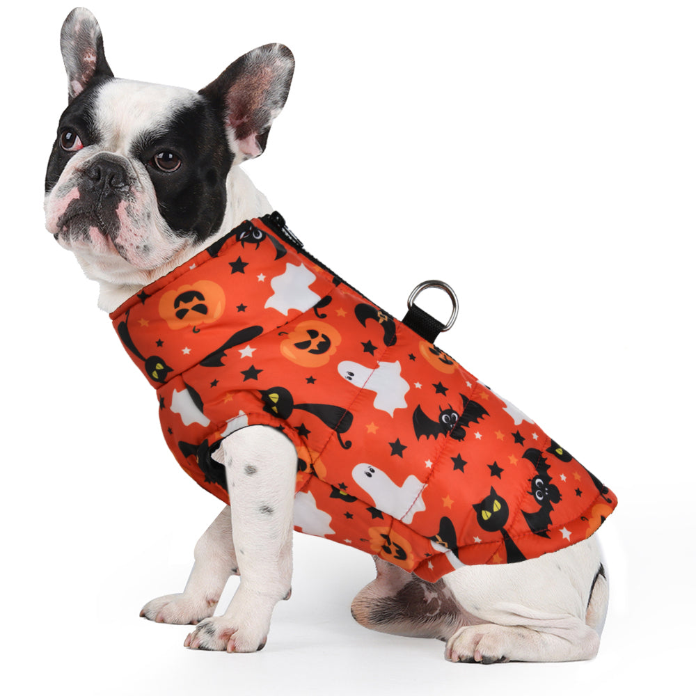 www.frenchie.shop-Frenchie-Halloween-Winter-Jacket-with-Pumpkin-Print-Cozy-and-Festive