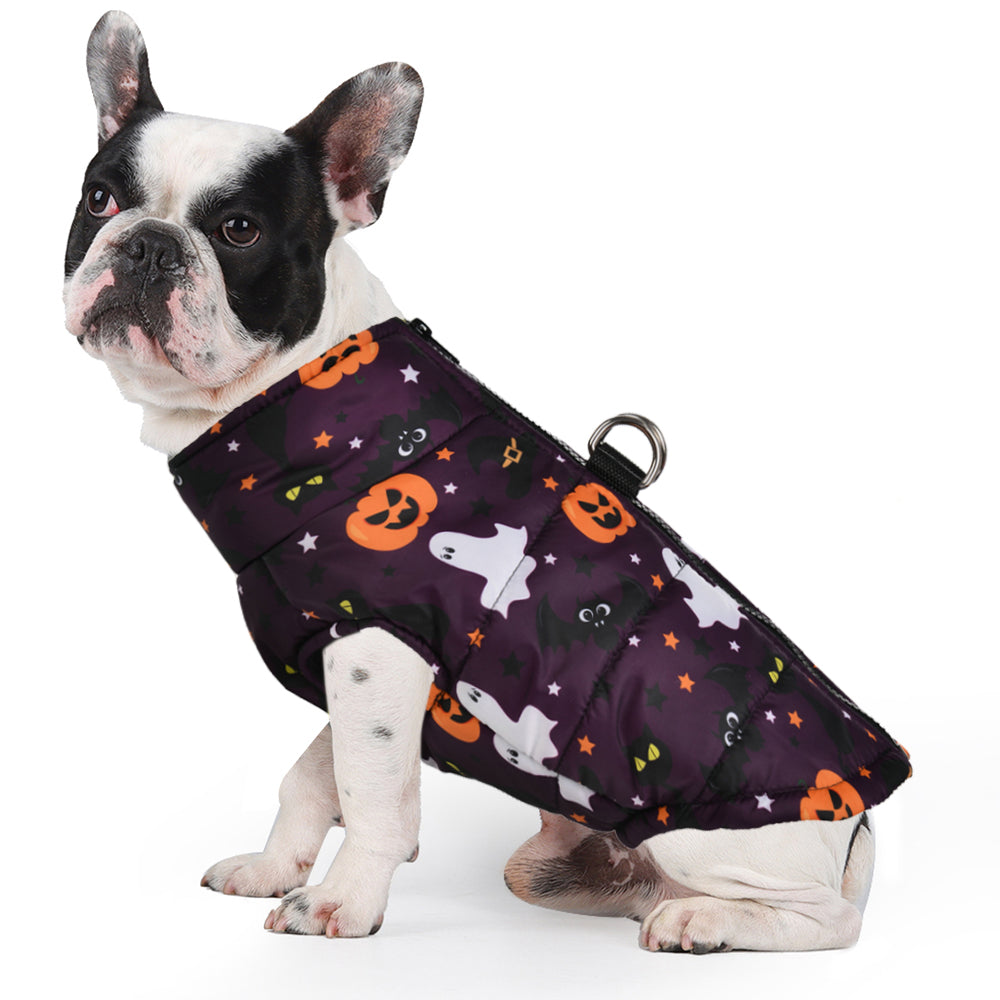 www.frenchie.shop-Frenchie-Halloween-Winter-Jacket-with-Pumpkin-Print-Cozy-and-Festive