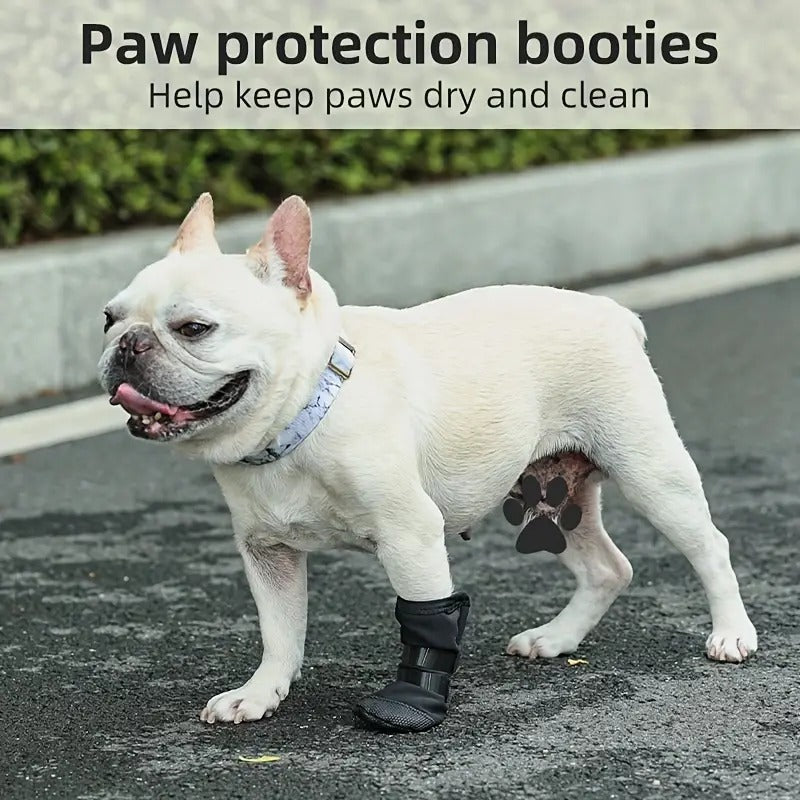 Frenchie booties sale