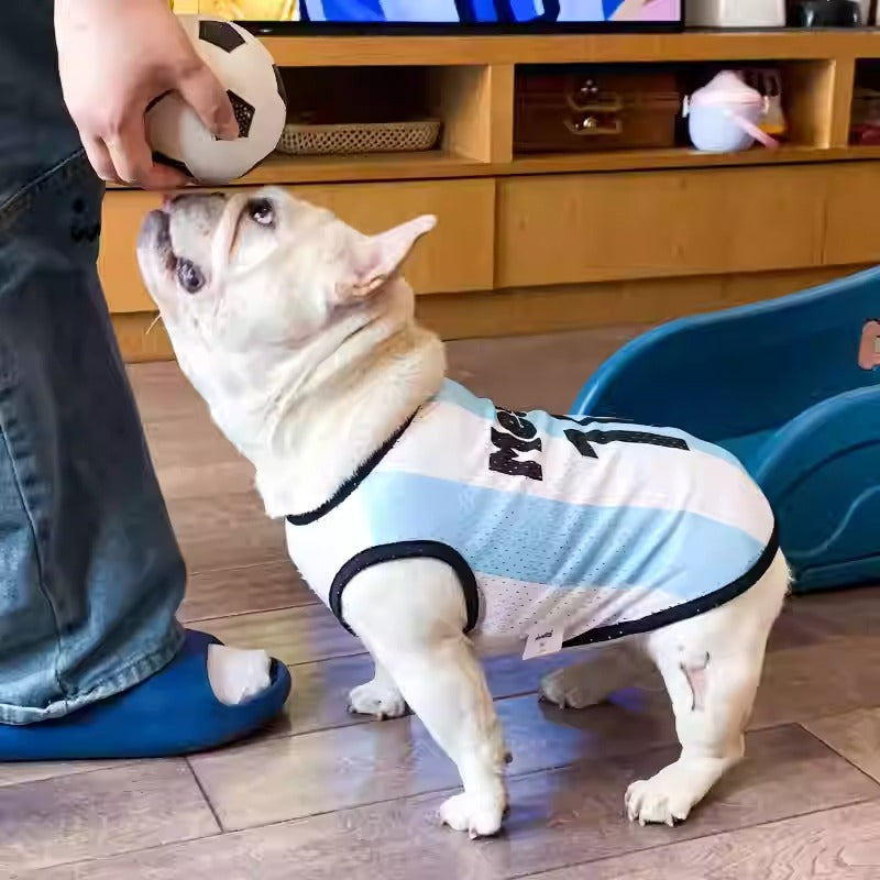 www.frenchie.shop-Frenchie-Sports-Jersey-Lightweight-Breathable-Mesh-Vest-for-Dogs