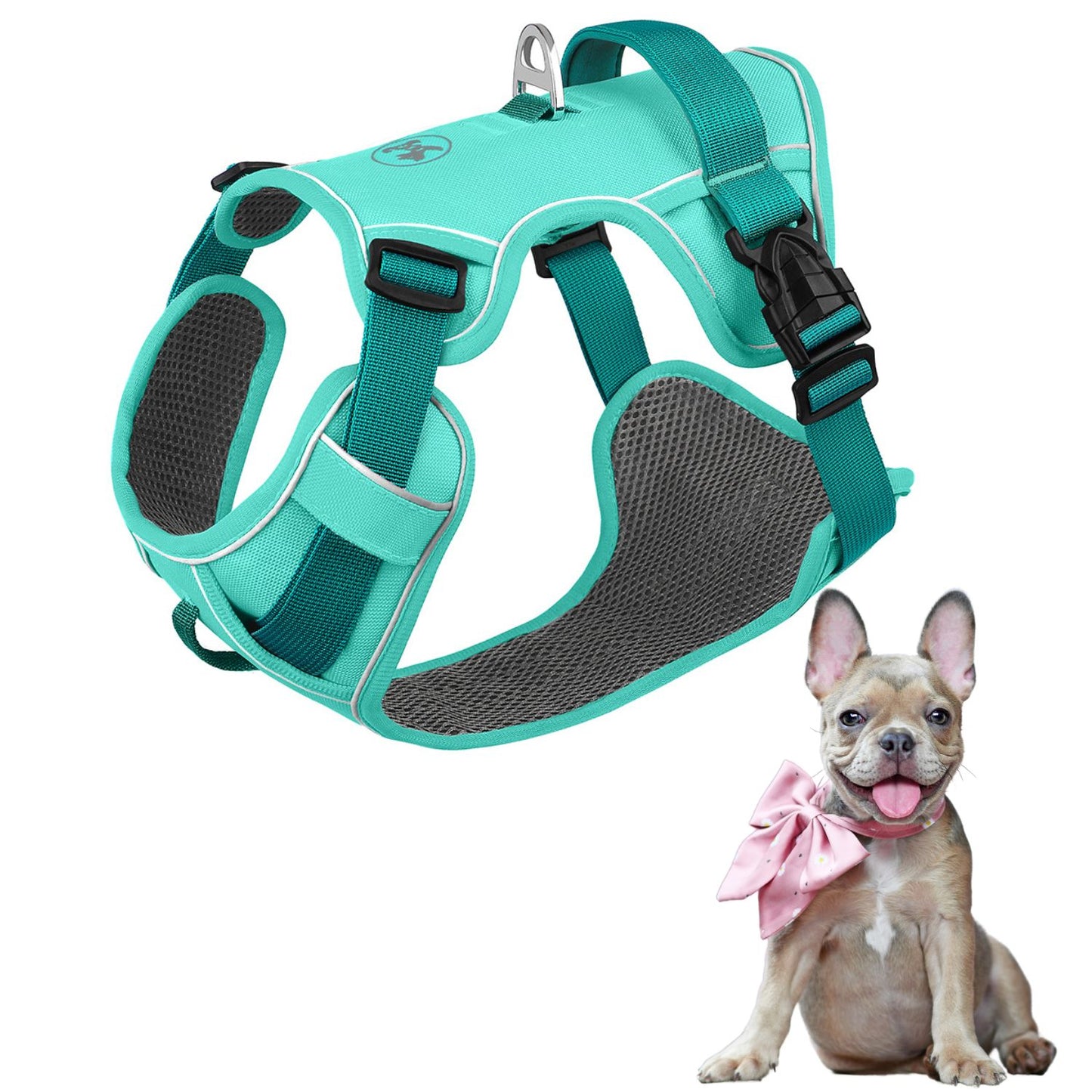 www.frenchie.shop-GlowSafe-No-Pull-Frenchie-Harness-Reflective-Training-Vest-blue