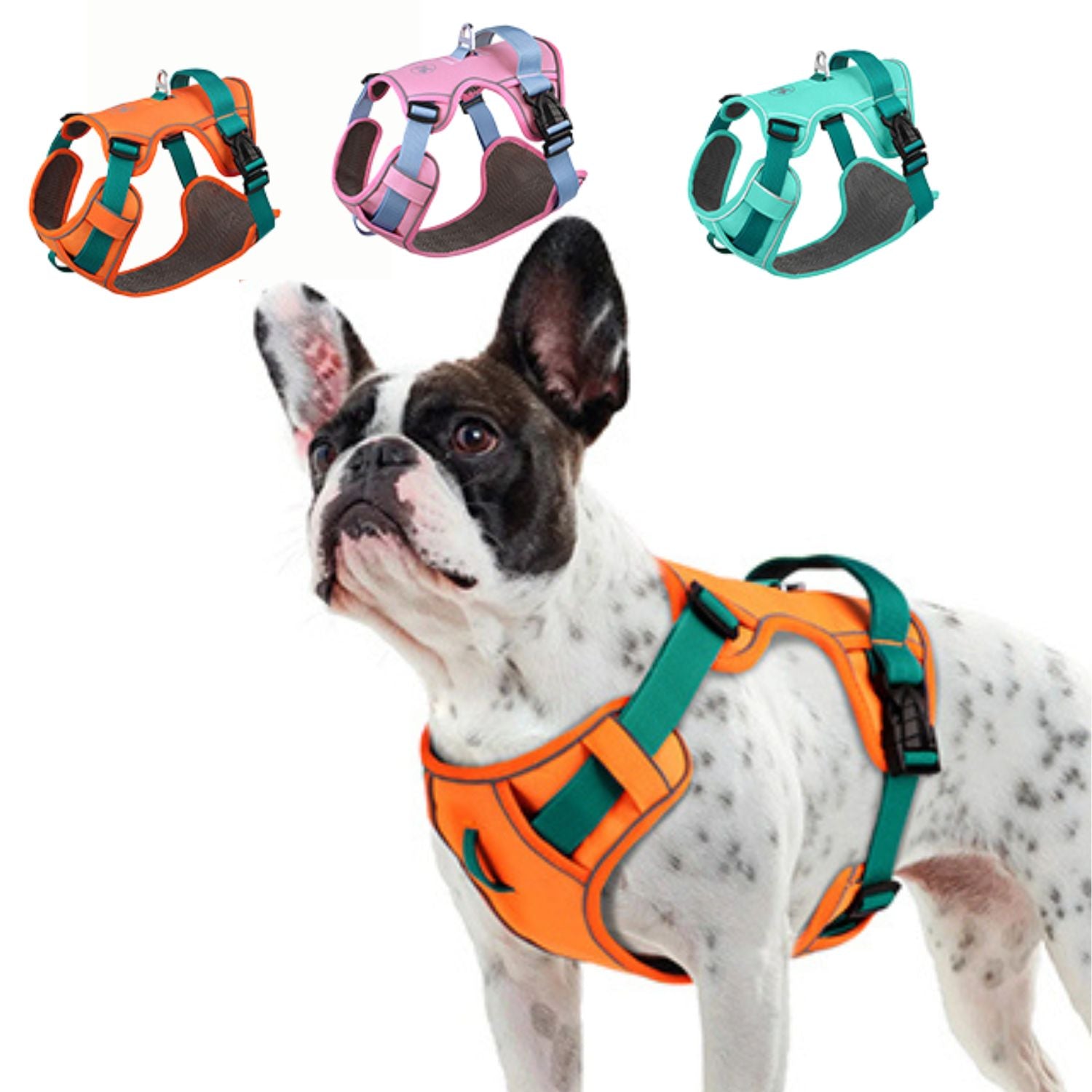 www.frenchie.shop-GlowSafe-No-Pull-Frenchie-Harness-Reflective-Training-Vest