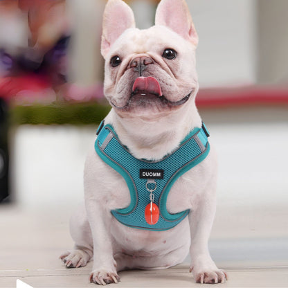 www.frenchie.shop-Glowva-No-Pull-Explosion-Proof-Frenchie Harness