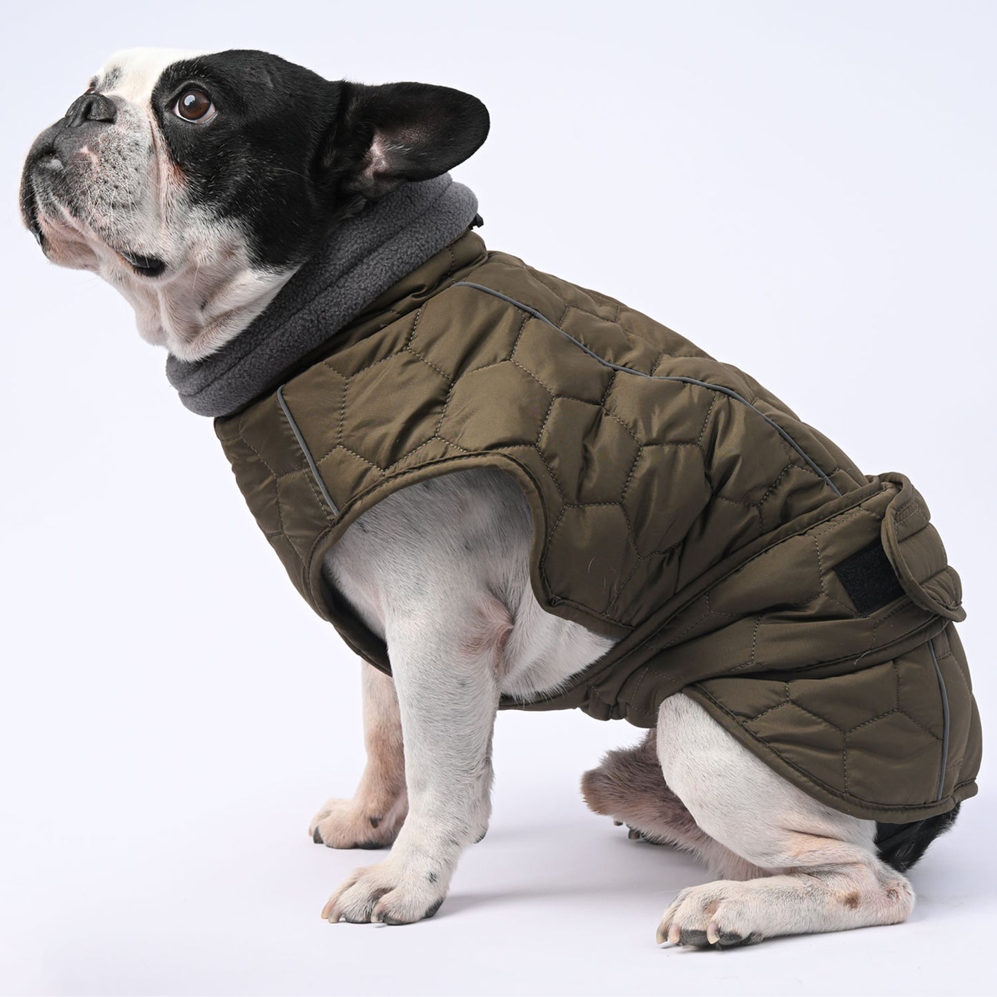 www.frenchie.shop-IceShield-Frenchie-Winter-Snowsuit-with-Reflective-Design