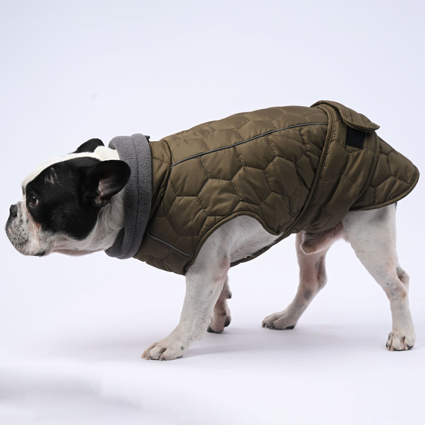 www.frenchie.shop-IceShield-Frenchie-Winter-Snowsuit-with-Reflective-Design