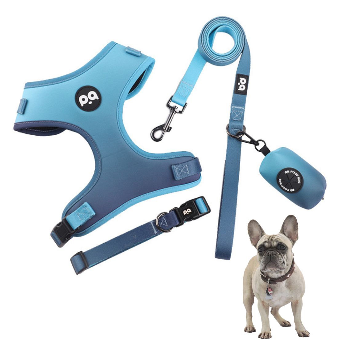 www.frenchie.shop-LeashLab-Adjustable-Frenchie-Harness-and-Leash-Set-blue