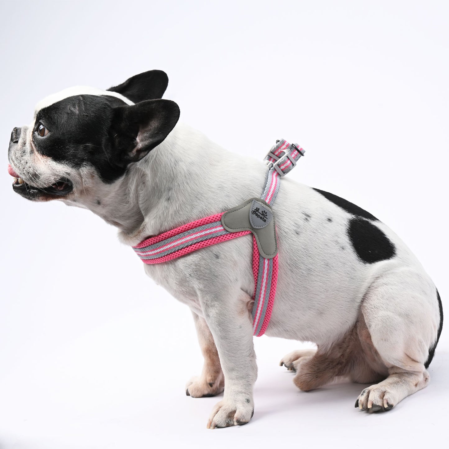 www.frenchie.shop-LeashLock-No-Pull-Frenchie-Harness-with-Leash