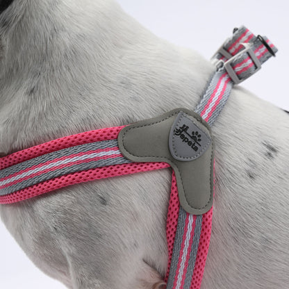 www.frenchie.shop-LeashLock-No-Pull-Frenchie-Harness-with-Leash