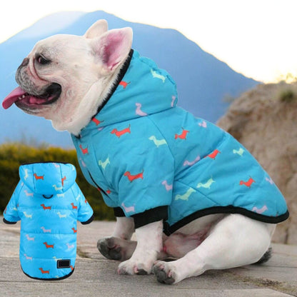 www.frenchie.shop-Luxurious-Hooded-Frenchie-Coat-blue