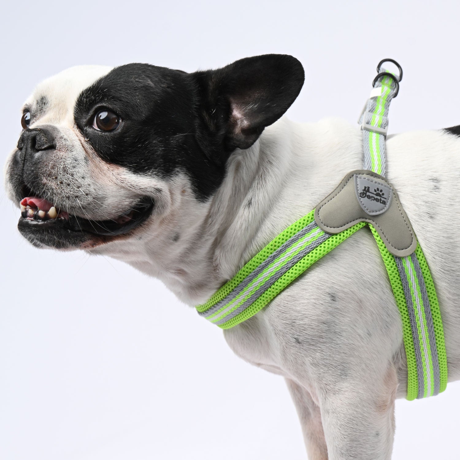 www.frenchie.shop-PawGrip-No-Pull-Frenchie-Harness-with-Leash