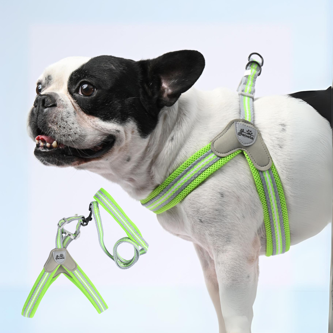 www.frenchie.shop-PawGrip-No-Pull-Frenchie-Harness-with-Leash