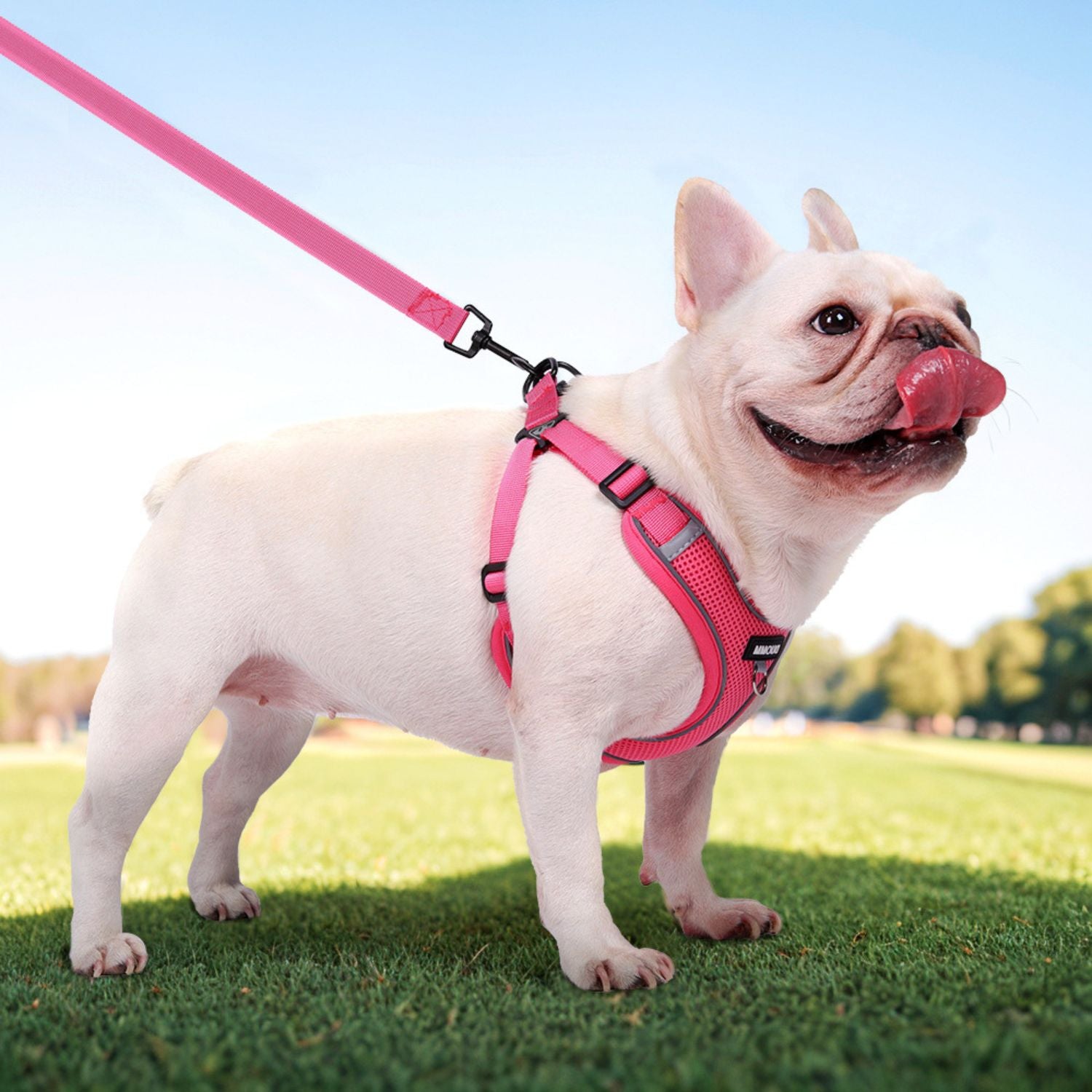 www.frenchie.shop-Pawtify-No-Pull-Frenchie-Harness-Explosion-Proof-Vest