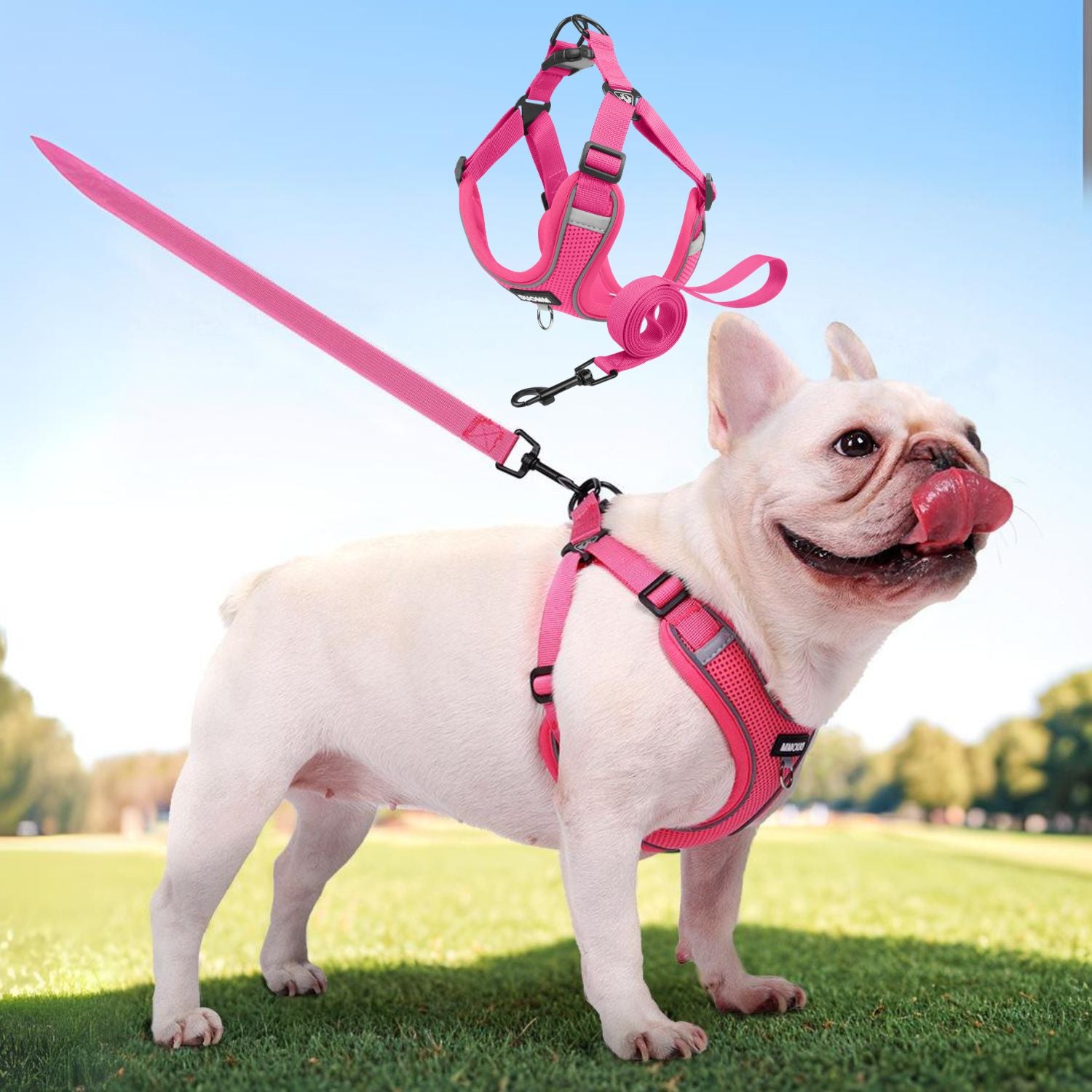 www.frenchie.shop-Pawtify-No-Pull-Frenchie-Harness-Explosion-Proof-Vest