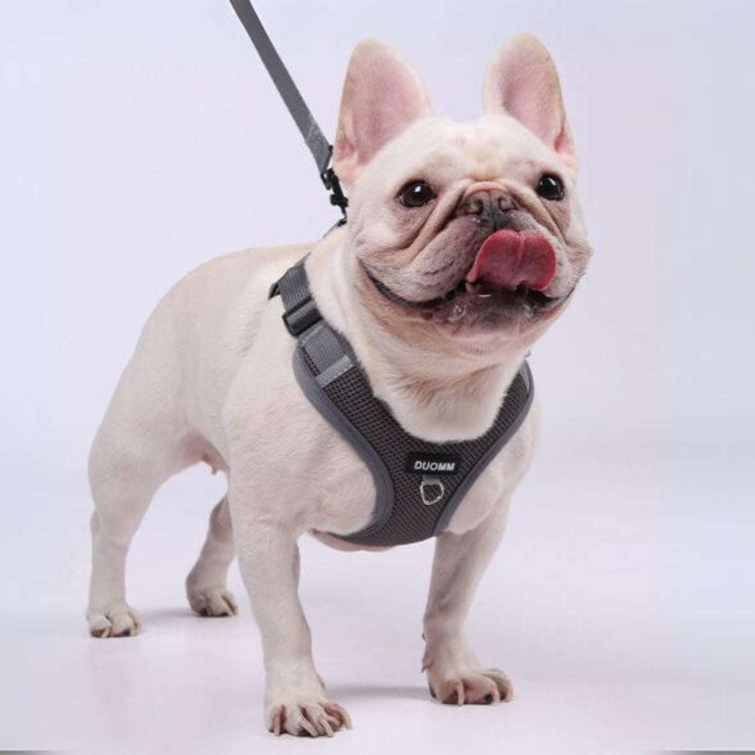 www.frenchie.shop-Pawzen-Frenchie-No-Pull-Harness-with-Explosion-Proof-Design