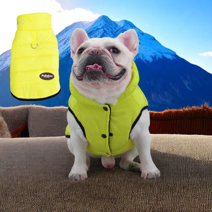 www.frenchie.shop-Premium-Frenchie-Winter-Jacket-Comfortable-Vest-with-D-Ring-for-Safe-Traction