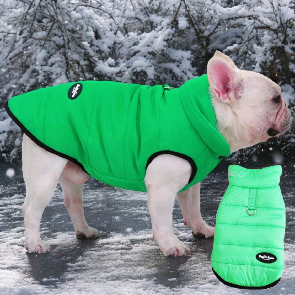 www.frenchie.shop-Premium-Frenchie-Winter-Jacket-Comfortable-Vest-with-D-Ring-for-Safe-Traction