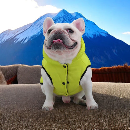 www.frenchie.shop-Premium-Frenchie-Winter-Jacket-Comfortable-Vest-with-D-Ring-for-Safe-Traction