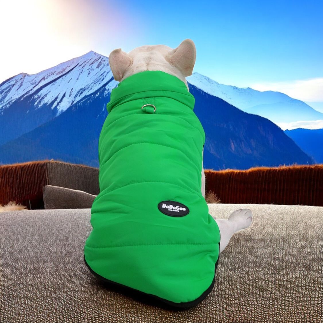 www.frenchie.shop-Premium-Frenchie-Winter-Jacket-Comfortable-Vest-with-D-Ring-for-Safe-Traction