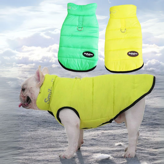 www.frenchie.shop-Premium-Frenchie-Winter-Jacket-Comfortable-Vest-with-D-Ring-for-Safe-Traction