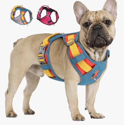 www.frenchie.shop-PupBright-No-Pull-Frenchie-Reflective-Harness