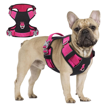 www.frenchie.shop-PupBright-No-Pull-Frenchie-Reflective-Harness