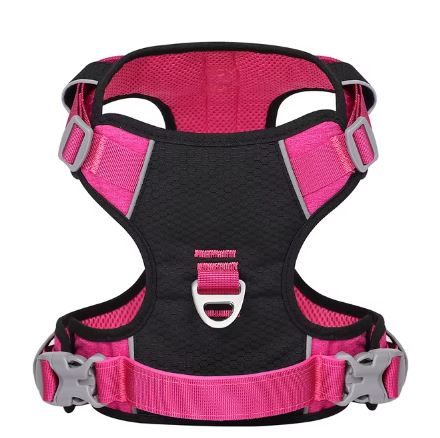 www.frenchie.shop-PupBright-No-Pull-Frenchie-Reflective-Harness