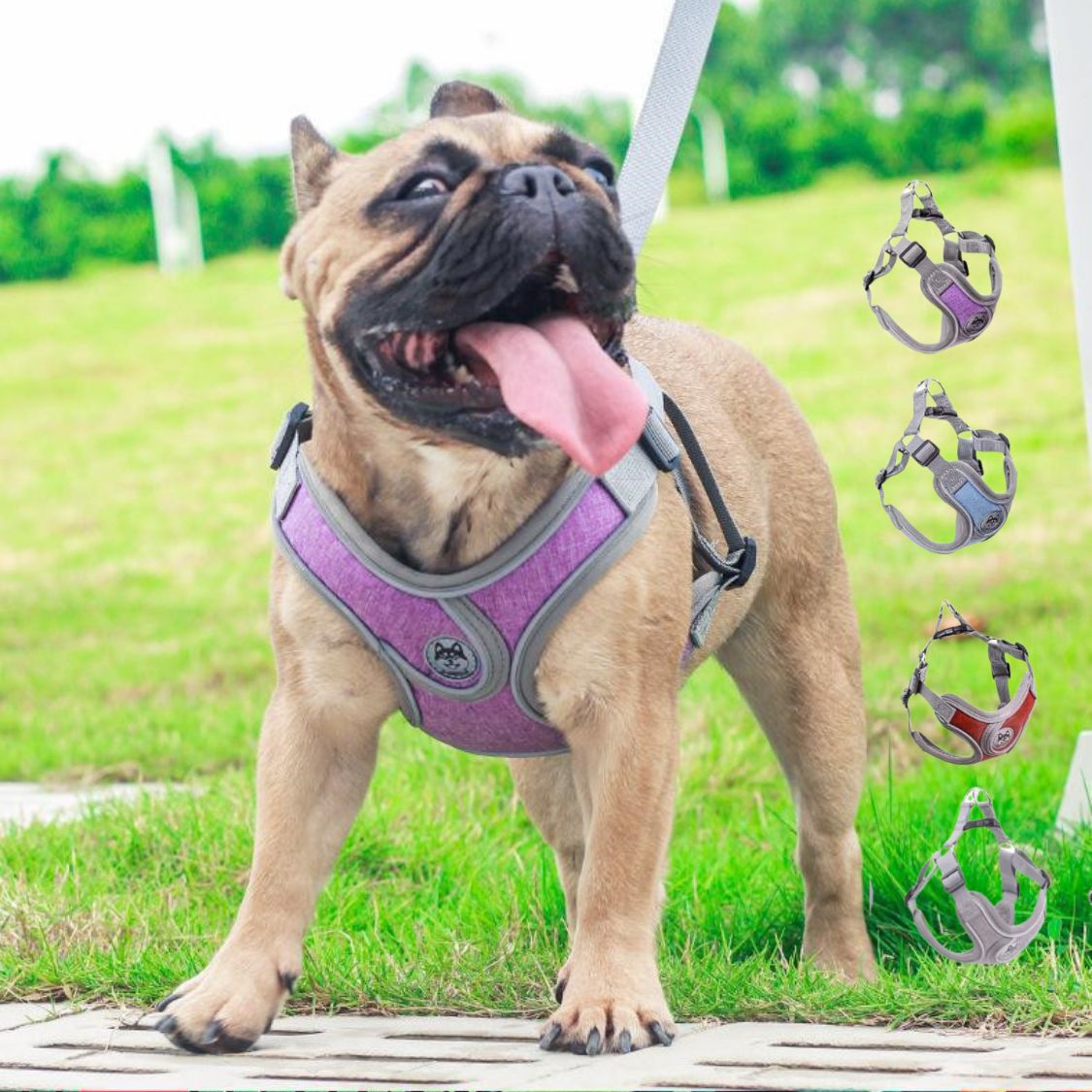 www.frenchie.shop-PupLuxe-Reflective-Frenchie-Harness-Adjustable-Pet-Vest