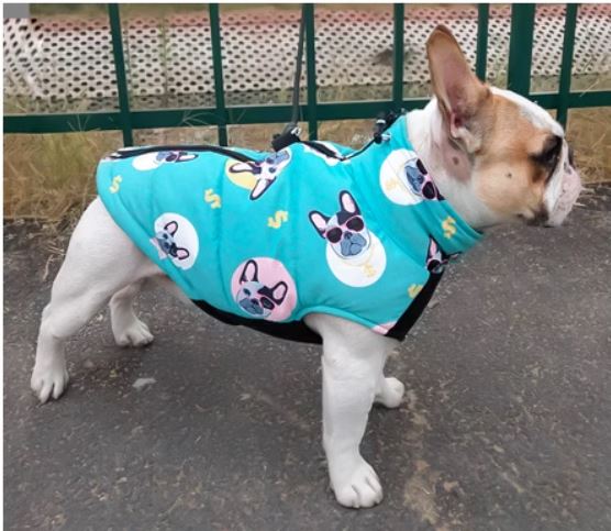 www.frenchie.shop-PupTrend-Premium-Frenchie-Jacket