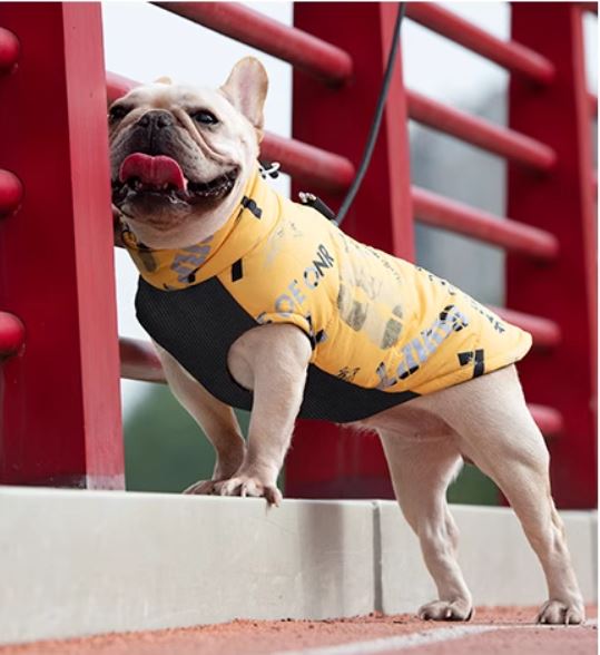 www.frenchie.shop-PupTrend-Premium-Frenchie-Jacket