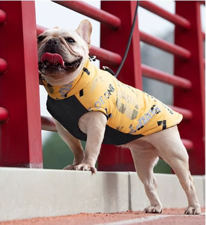 www.frenchie.shop-PupTrend-Premium-Frenchie-Jacket